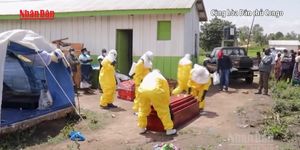 [Video] WHO: Chủng Ebola Bundibugyo khiến 30-50% bệnh nhân tử vong