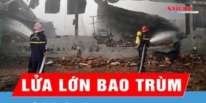 Gia Lai: Lửa lớn bao trùm khu xưởng, nhiều ô tô điện cháy trơ khung