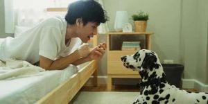 [GALLERY] Startup AI Trung Quốc gây sốc với máy 'dịch tiếng chó mèo'