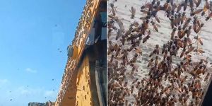 Nam công nhân sợ hãi khi thấy cảnh tượng bên ngoài máy xúc