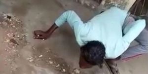 Hôn rắn hổ mang, người đàn ông bị cắn thẳng vào môi