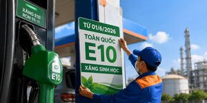 Bộ Công Thương yêu cầu hãng xe đánh giá tương thích với xăng E10