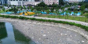 Hà Nội: Hồ điều hòa 744 tỷ đồng nổi trắng xác cá, bốc mùi nồng nặc