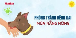 [Video] Phòng tránh bệnh dại mùa nắng nóng