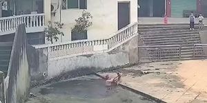 Thấy bé trai rơi xuống ao, cụ ông 69 tuổi lao xuống giải cứu