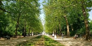 Người Bỉ ứng phó nắng nóng kỷ lục bất thường