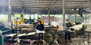 Đảm bảo an toàn tại các xưởng gỗ ván bóc