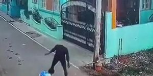 Bé gái bất ngờ bị đàn con chó tấn công và màn giải cứu gay cấn