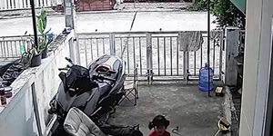 Bé gái 1 tuổi khóc thét khi đối mặt rắn hổ mang trong sân nhà