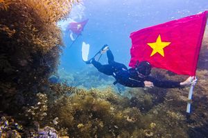 Du lịch Quy Nhơn, giới trẻ hào hứng check-in đáy biển cùng cờ Tổ quốc