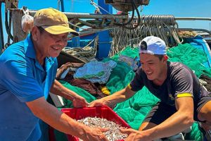 Trúng đậm cá cơm, ngư dân phấn khởi ngày tàu cập bến