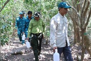 Những người lặng thầm giữ 'lá phổi xanh' cho nơi có nhiều loài động vật quý hiếm sinh sống