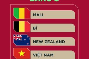 U17 Việt Nam chạm trán Bỉ, Mali tại vòng bảng World Cup