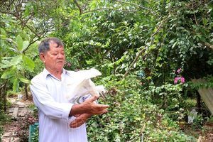 Lão nông dành 2,6 ha đất cho đàn chim trời cư ngụ