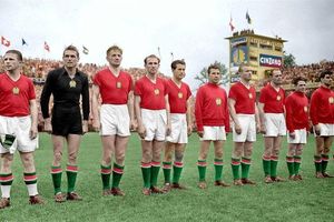 Lịch sử World Cup 1954: Giải đấu của Hungary và những kỷ lục vô tiền khoáng hậu