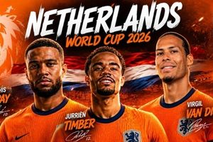 Hà Lan tại World Cup 2026: Khi 'Cơn lốc màu cam' vượt bão chấn thương và nghịch cảnh