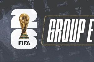 Lịch thi đấu bóng đá bảng E World Cup 2026 mới nhất
