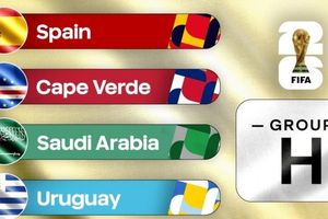 Lịch thi đấu bóng đá bảng H World Cup 2026 mới nhất