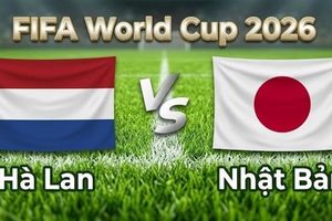 Nhận định, dự đoán trận đấu Hà Lan vs Nhật Bản: Thử thách lớn cho Samurai Xanh