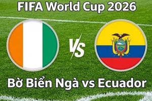 Nhận định, dự đoán trận đấu Bờ Biển Ngà vs Ecuador: 'Kẻ tám lạng, người nửa cân'