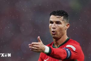 Lịch thi đấu và trực tiếp World Cup 2026 ngày 18/6: Ronaldo, Kane nhập cuộc