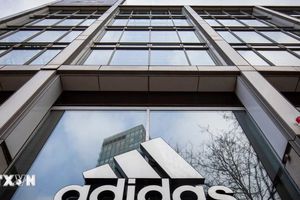 Adidas gặp sự cố hy hữu vì sức hút của dàn sao tuyển Đức