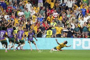World Cup 2026: Mặt cỏ sân BC Place ghi điểm với các ngôi sao