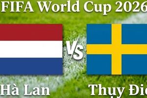Nhận định, dự đoán trận đấu Hà Lan vs Thụy Điển: Cơn lốc da cam tìm lại mình