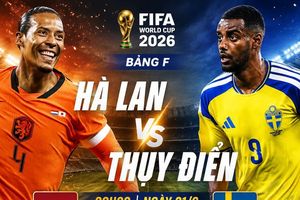Nhận định Hà Lan vs Thụy Điển, 00h00 ngày 21/6: Bất phân thắng bại
