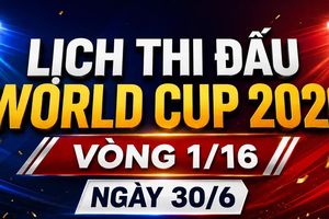 Lịch vòng loại trực tiếp World Cup ngày 30/6: Brazil đụng độ Nhật Bản, Đức đấu Paraguay