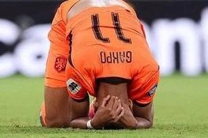 Vì sao Cody Gakpo ôm đầu đau khổ khi ghi bàn cho Hà Lan trước Morocco?