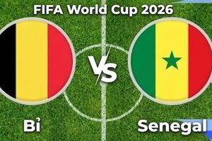 Nhận định, dự đoán trận đấu Bỉ vs Senegal: Khó phân thắng bại