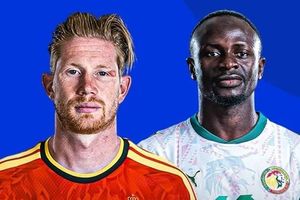 Dự đoán bóng đá Bỉ vs Senegal: Lựa chọn đáng giá