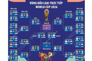 Vòng đấu loại trực tiếp World Cup 2026