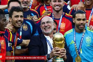 Từ 18 tháng thất nghiệp đến vô địch World Cup: Hành trình truyền cảm hứng của HLV Luis de la Fuente