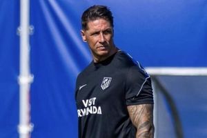 Cơ bắp của Fernando Torres