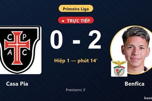 TRỰC TIẾPTrực tiếp Casa Pia vs Benfica: Benfica nhân đôi cách biệt