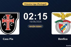 Nhận định Casa Pia vs Benfica: đội hình dự kiến