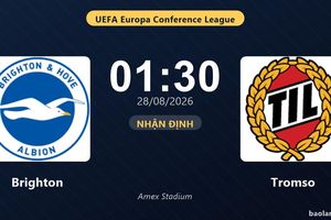 Nhận định Brighton vs Tromso: Thắng để đi tiếp