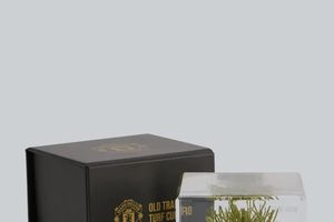 Man Utd bán cỏ Old Trafford giá 125 bảng, mở bán cho fan trên toàn thế giới