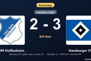 Thống kê trận đấu 1899 Hoffenheim 2-3 Hamburger SV: Hamburger SV ngược dòng ngoạn mục