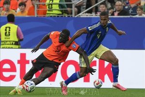 World Cup 2026: 'Cơn lốc da cam' cuốn phăng Thụy Điển
