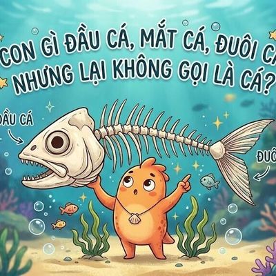 Giải đố mẹo: Con gì đầu cá, mắt cá, đuôi cá nhưng không phải cá?