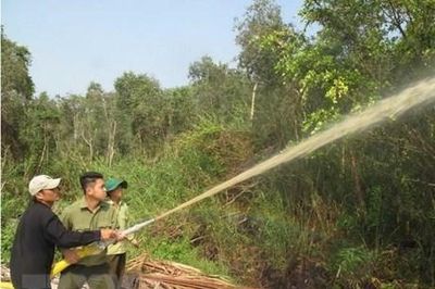 Một nửa rừng tràm U Minh Hạ đang ở mức báo động cháy cao nhất