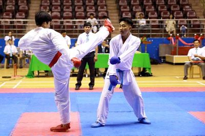 Khai mạc Giải vô địch và trẻ karatedo tỉnh Đồng Nai mở rộng 2019