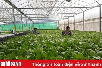 Công nhận huyện Đông Sơn đạt chuẩn nông thôn mới