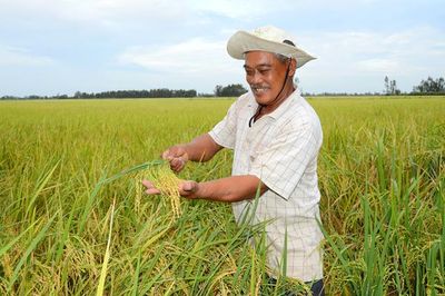 Người cựu chiến binh giàu ý chí và nghị lực