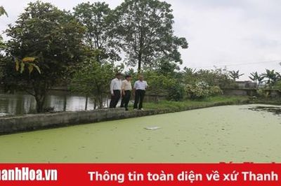 Gương sáng người cao tuổi làm kinh tế giỏi