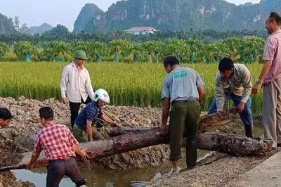 Hải Phòng khảo sát thực địa bãi cọc có thể liên quan đến chiến trường Bạch Đằng