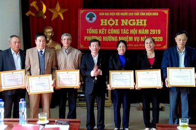 Ban đại diện Hội NCT tỉnh triển khai nhiệm vụ năm 2020